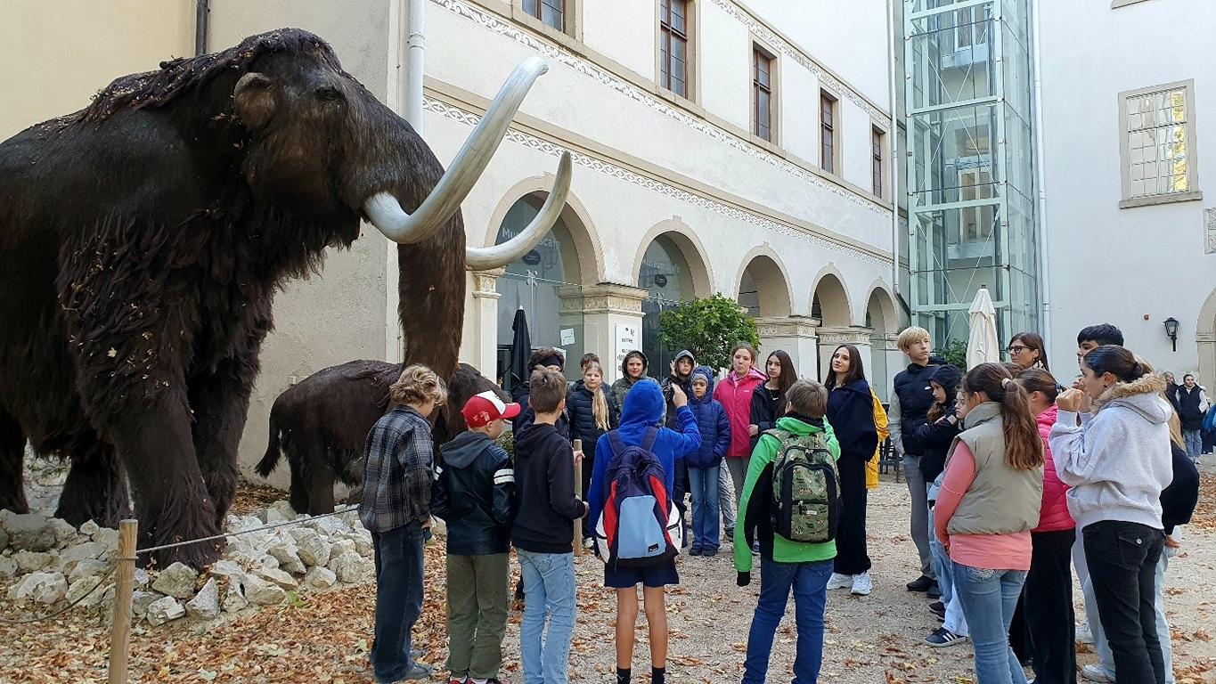 Auf den Spuren der Urgeschichte